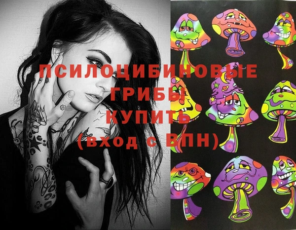 амф Алексин